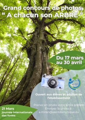 Affiche concours photo arbre 