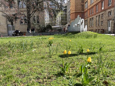 Pré-inscriptions 2026-2027